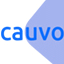 Cauvo Capital информация и отзывы трейдеров